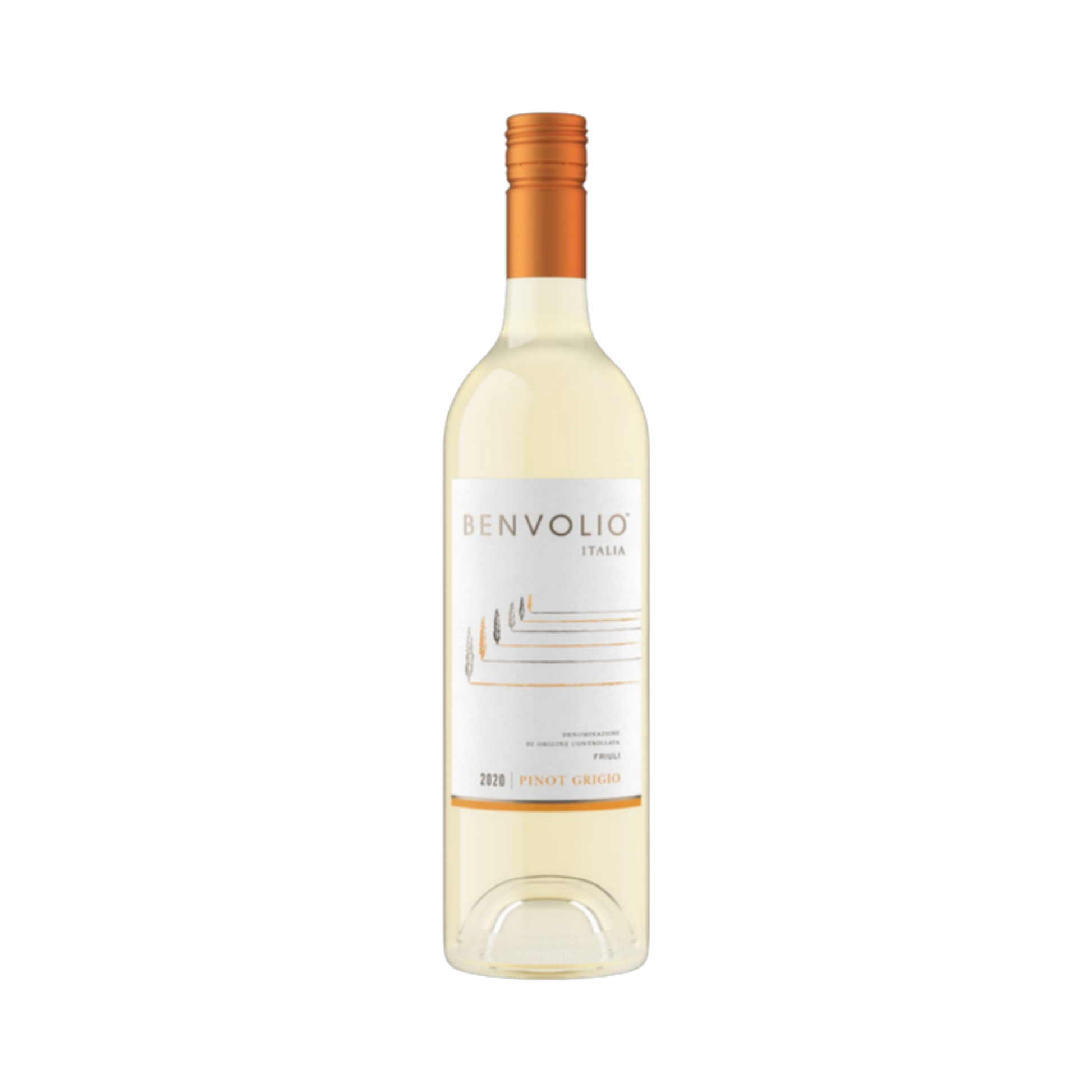 Pinot Grigio Friuli - Benvolio