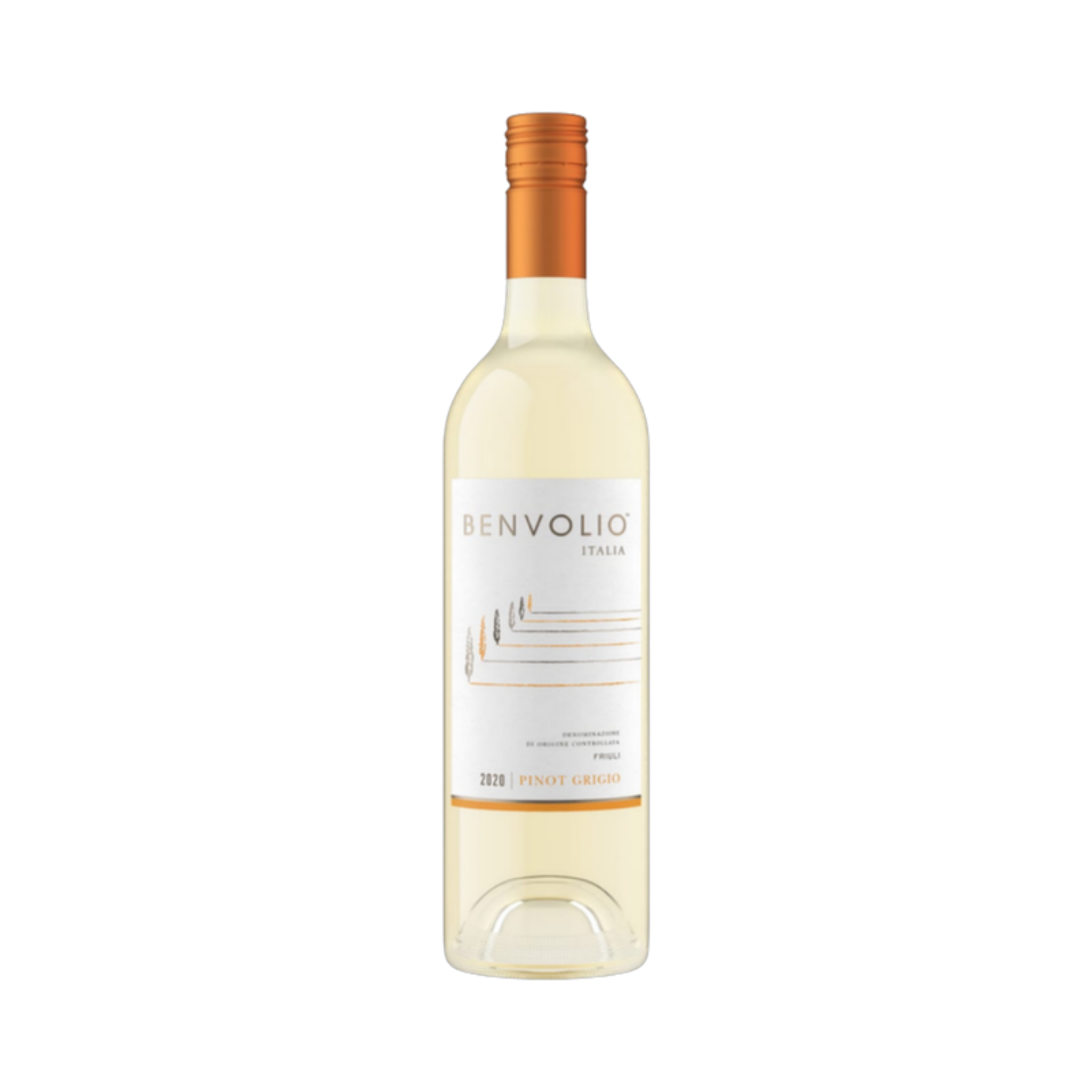Pinot Grigio Friuli - Benvolio