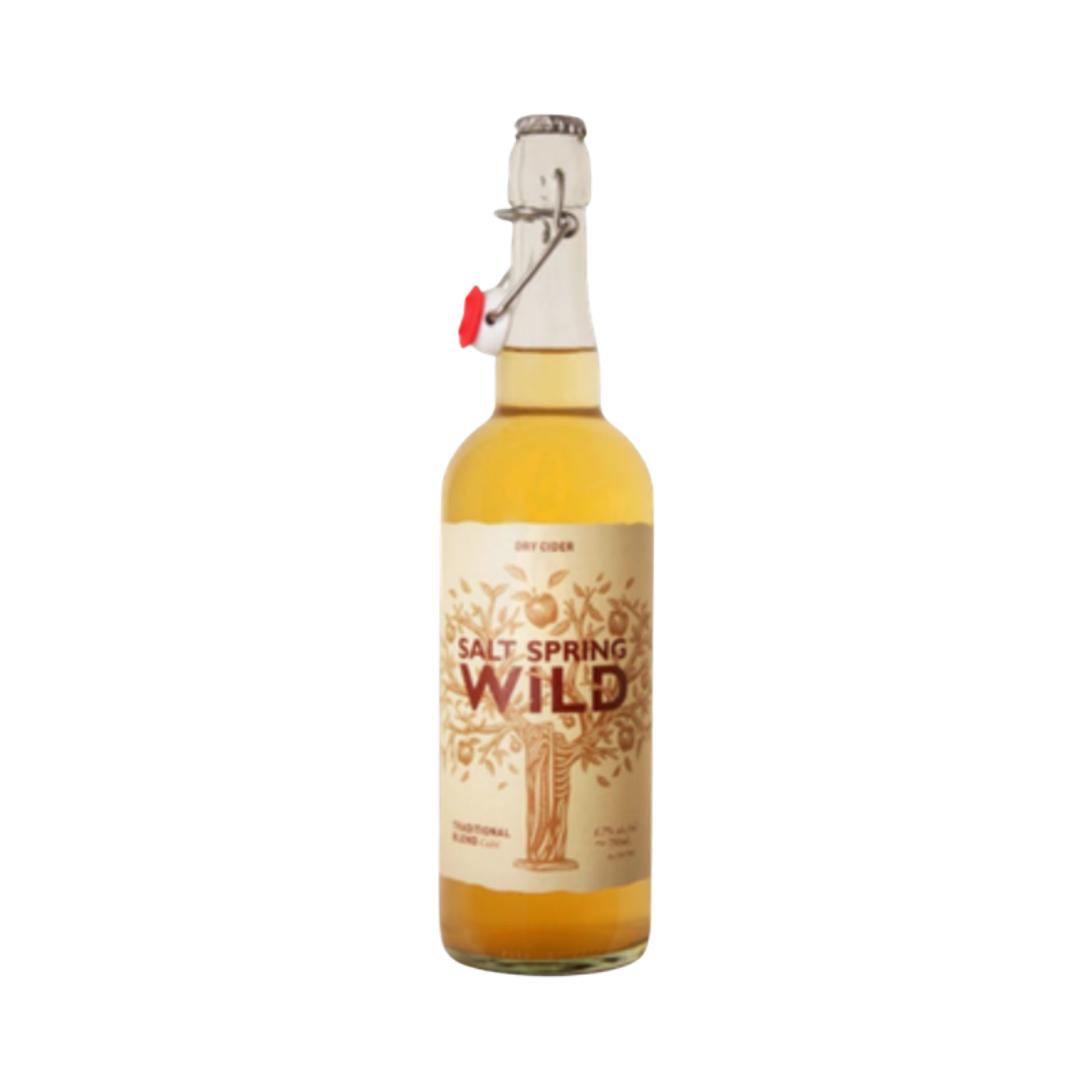 Salt Spring Wild Cider - Bitter Orange