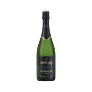 Stellers Jay - Brut