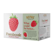 Hoyne Brewing - Framboozle 6pk