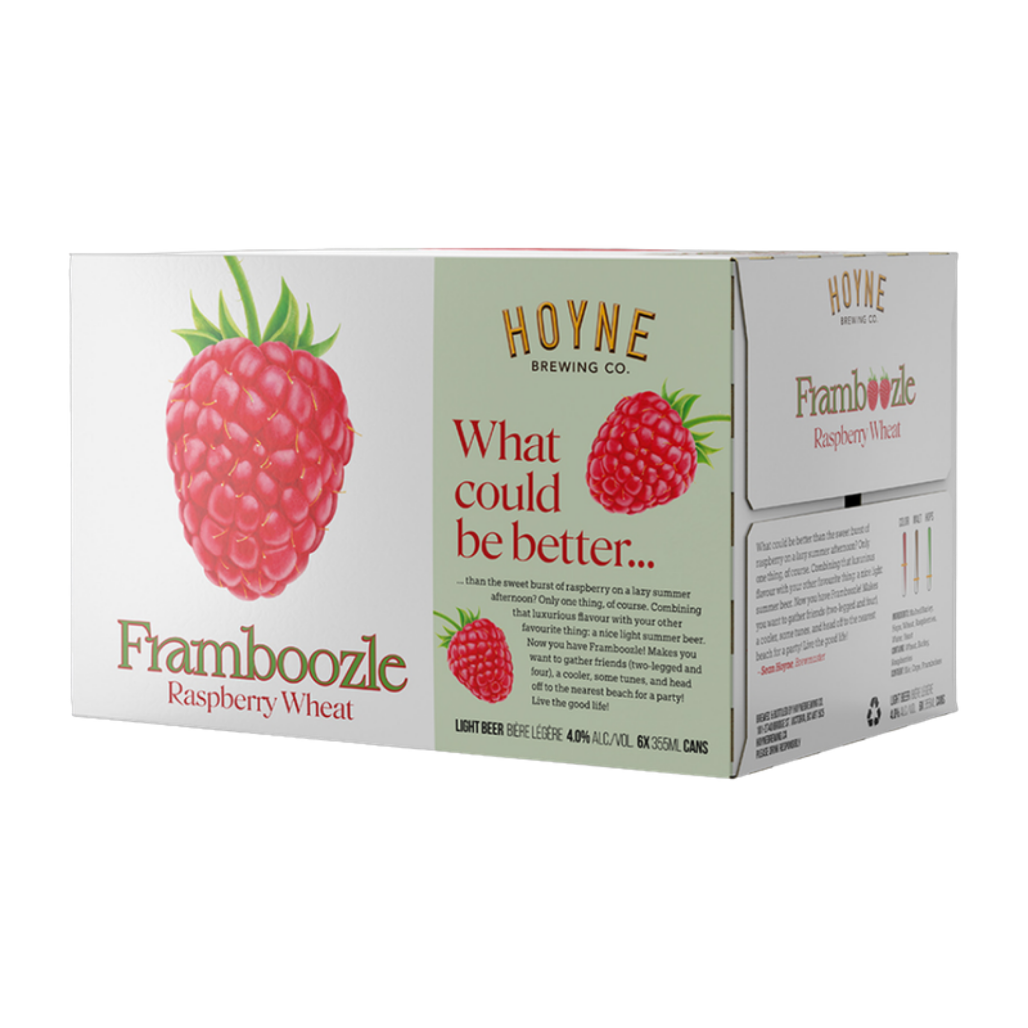 Hoyne Brewing - Framboozle 6pk