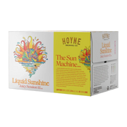 Hoyne Brewing - Liquid Sunshine 6pk