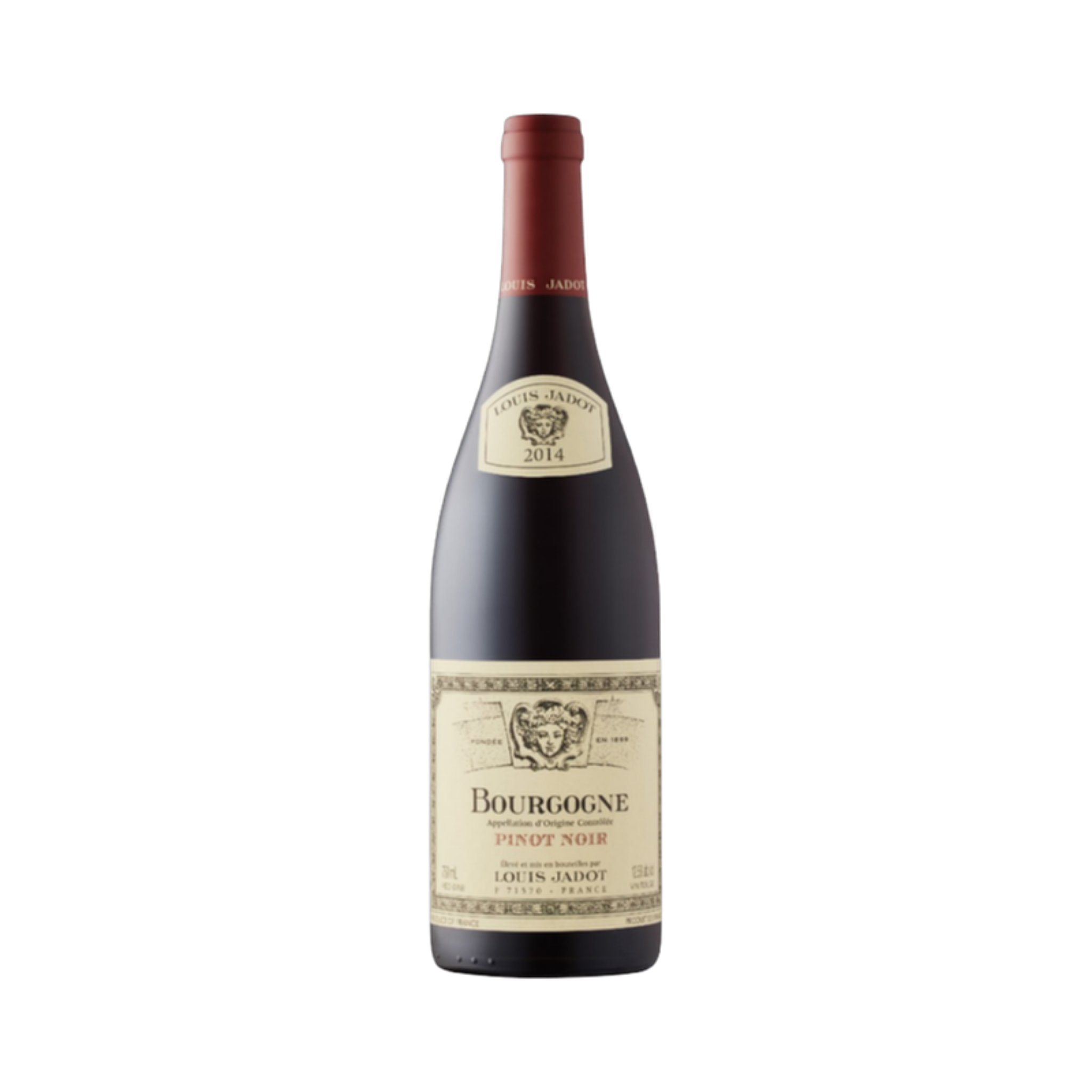 Bourgogne Pinot Noir - Louis Jadot