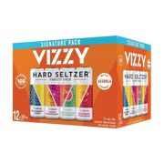 Vizzy Hard Seltzer - 2022 Mixer Pack