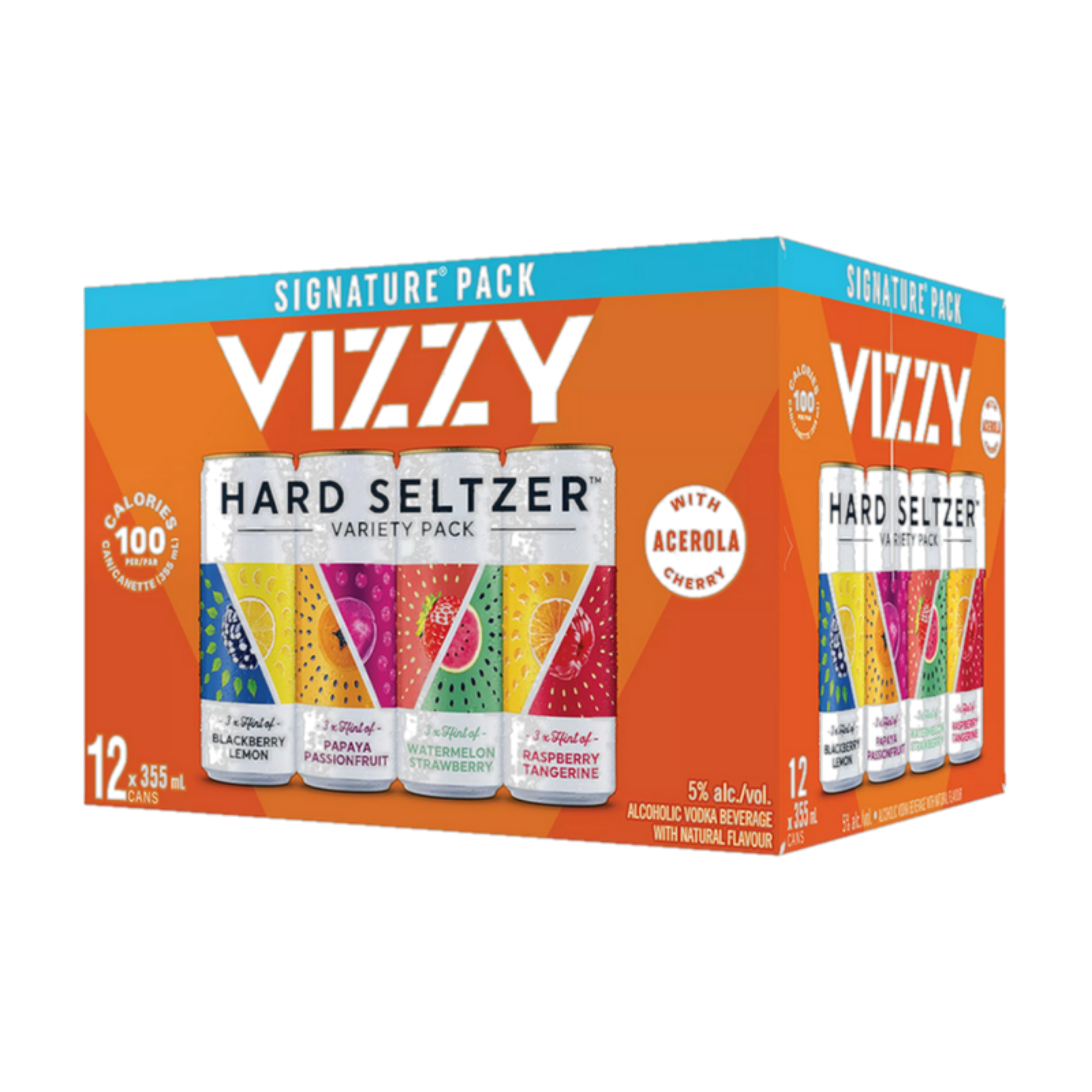 Vizzy Hard Seltzer - 2022 Mixer Pack