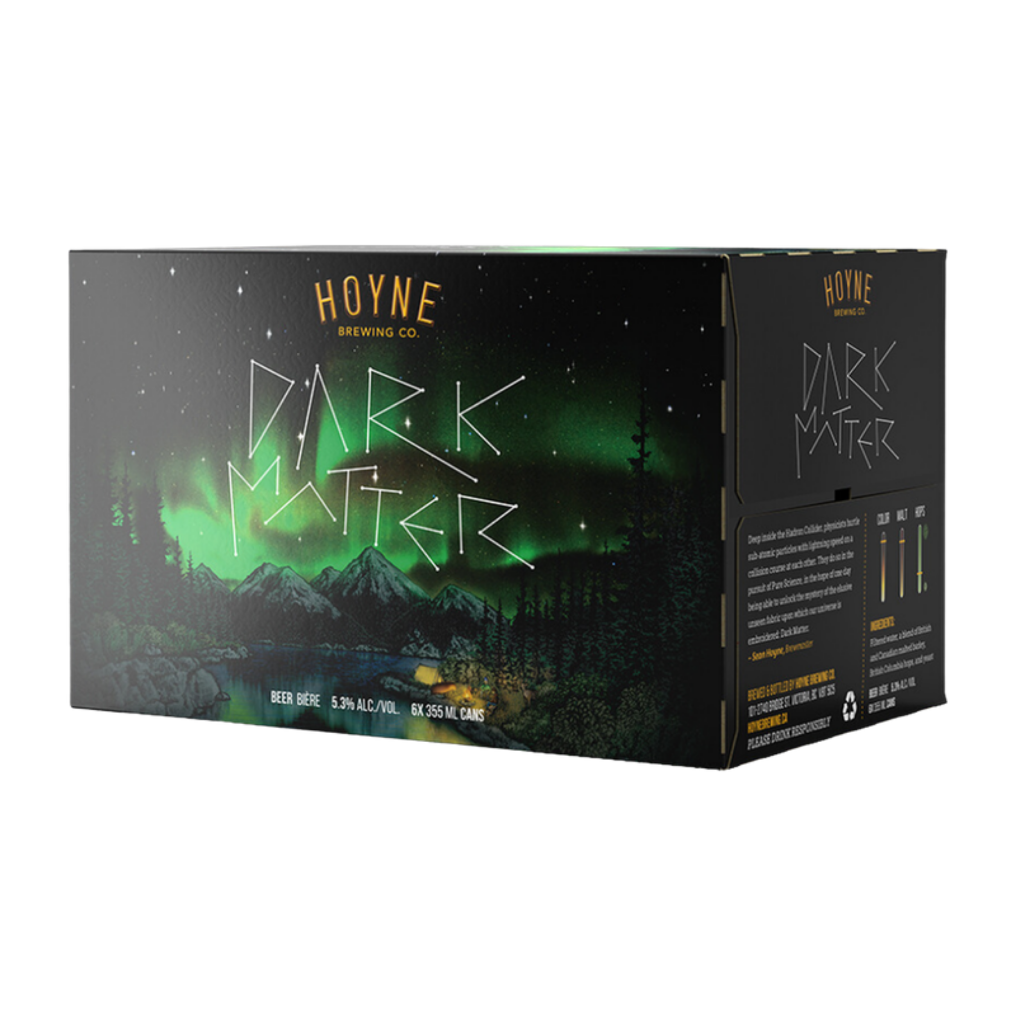 Hoyne Brewing - Dark Matter 6pk