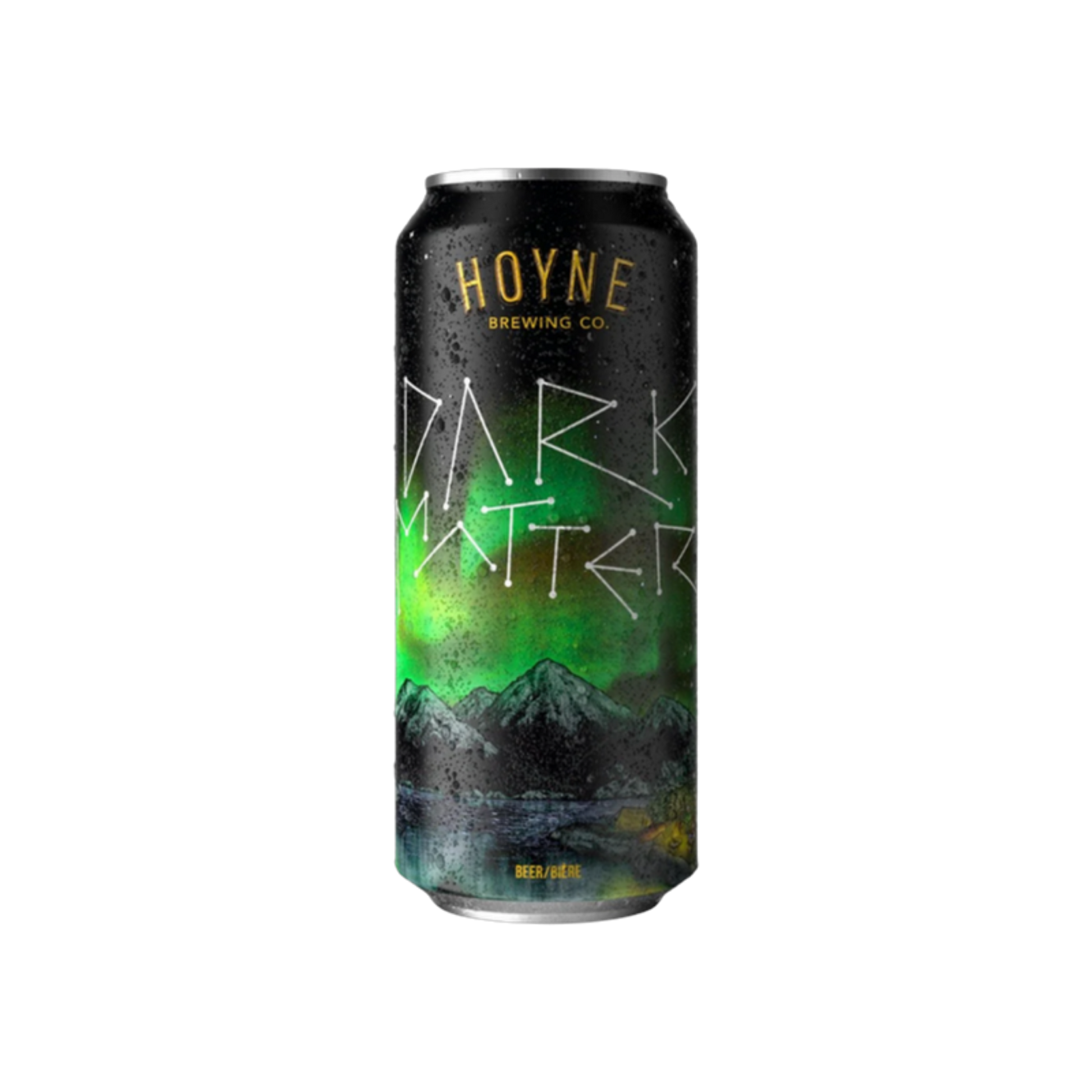 Hoyne Brewery - Dark Matter Tall Can