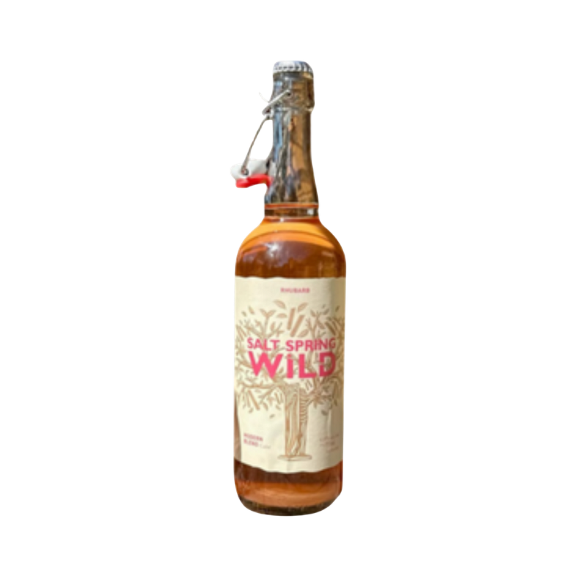 Salt Spring Wild Cider - Rhubarb