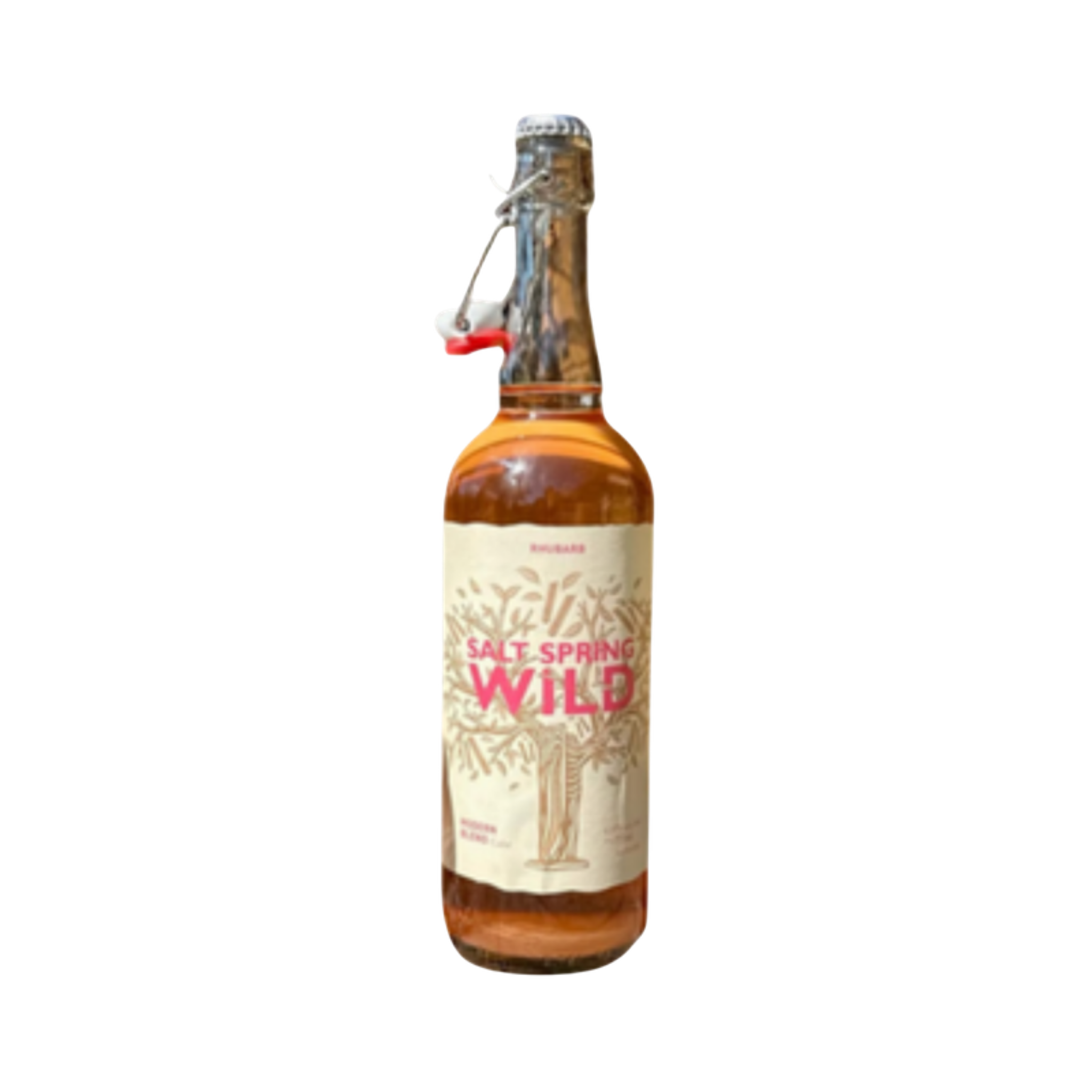 Salt Spring Wild Cider - Rhubarb