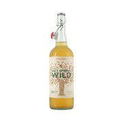 Salt Spring Wild Cider - Hopped Appricot