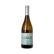Dao Sauvignon Blanc - Cabriz
