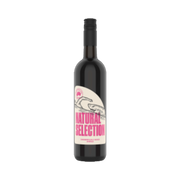 Shiraz - Natural Selection