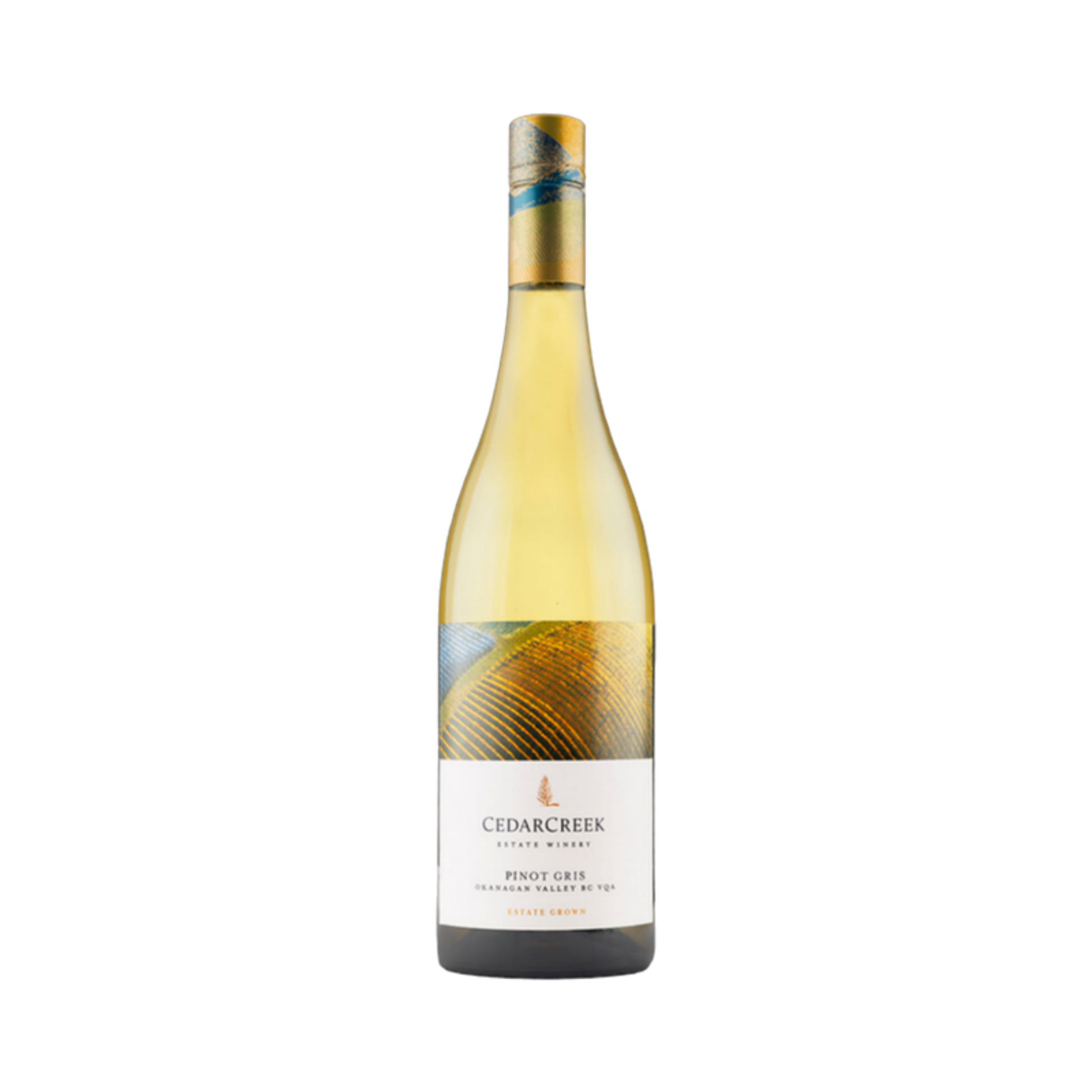 Valley Commons - Pinot Gris