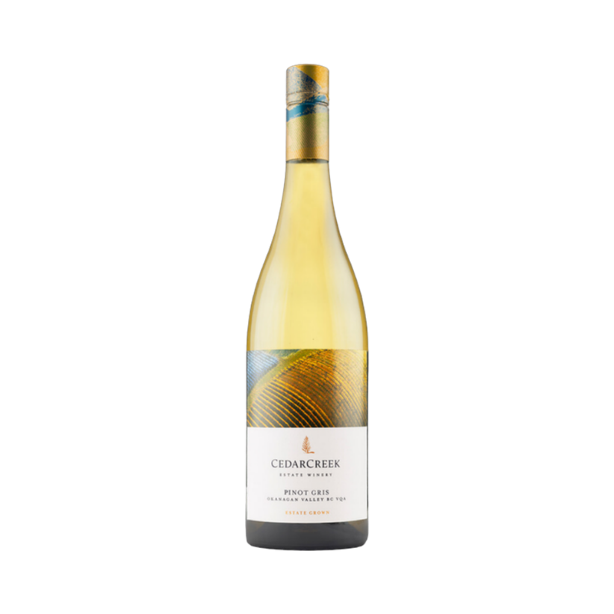 Valley Commons - Pinot Gris