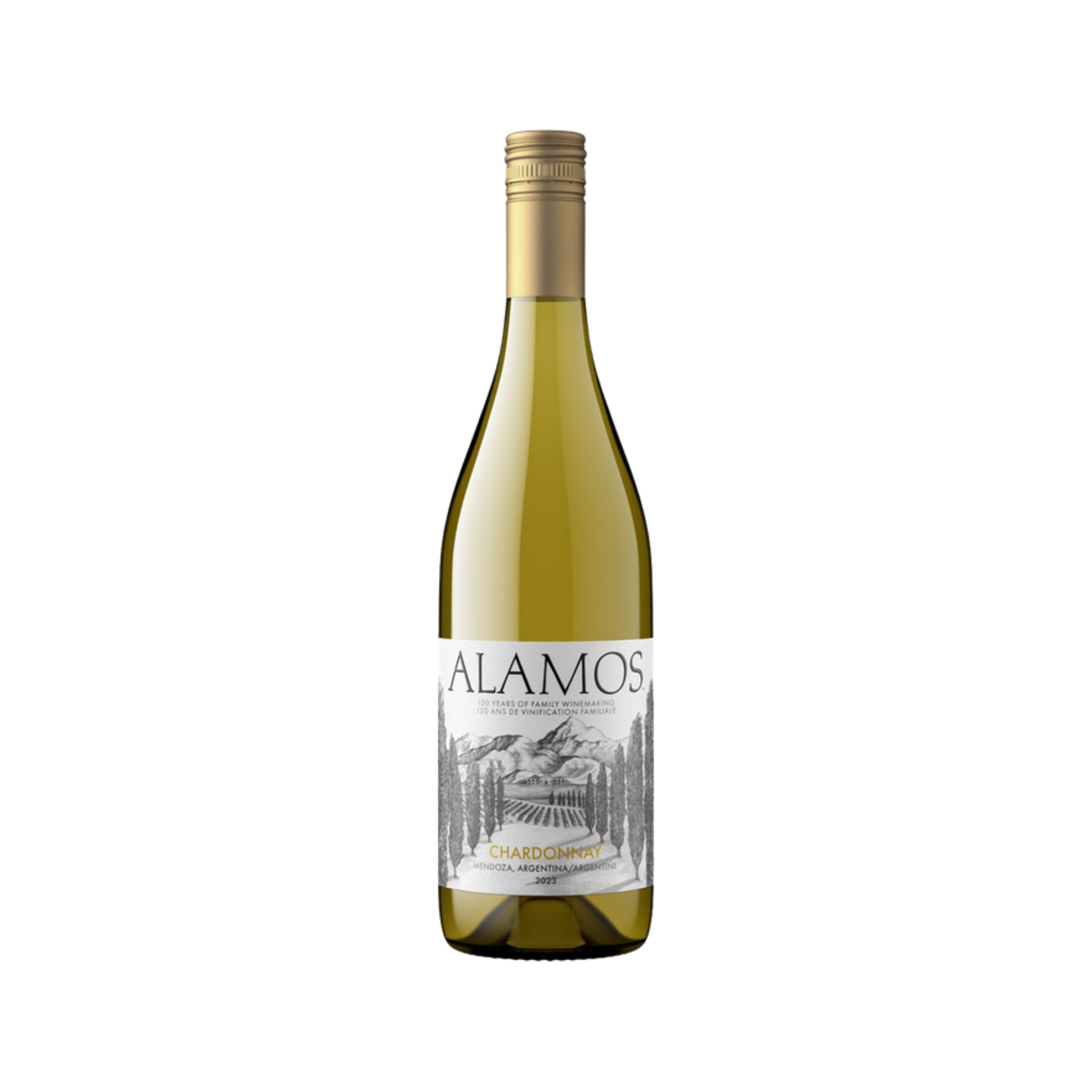 Chardonnay - Alamos
