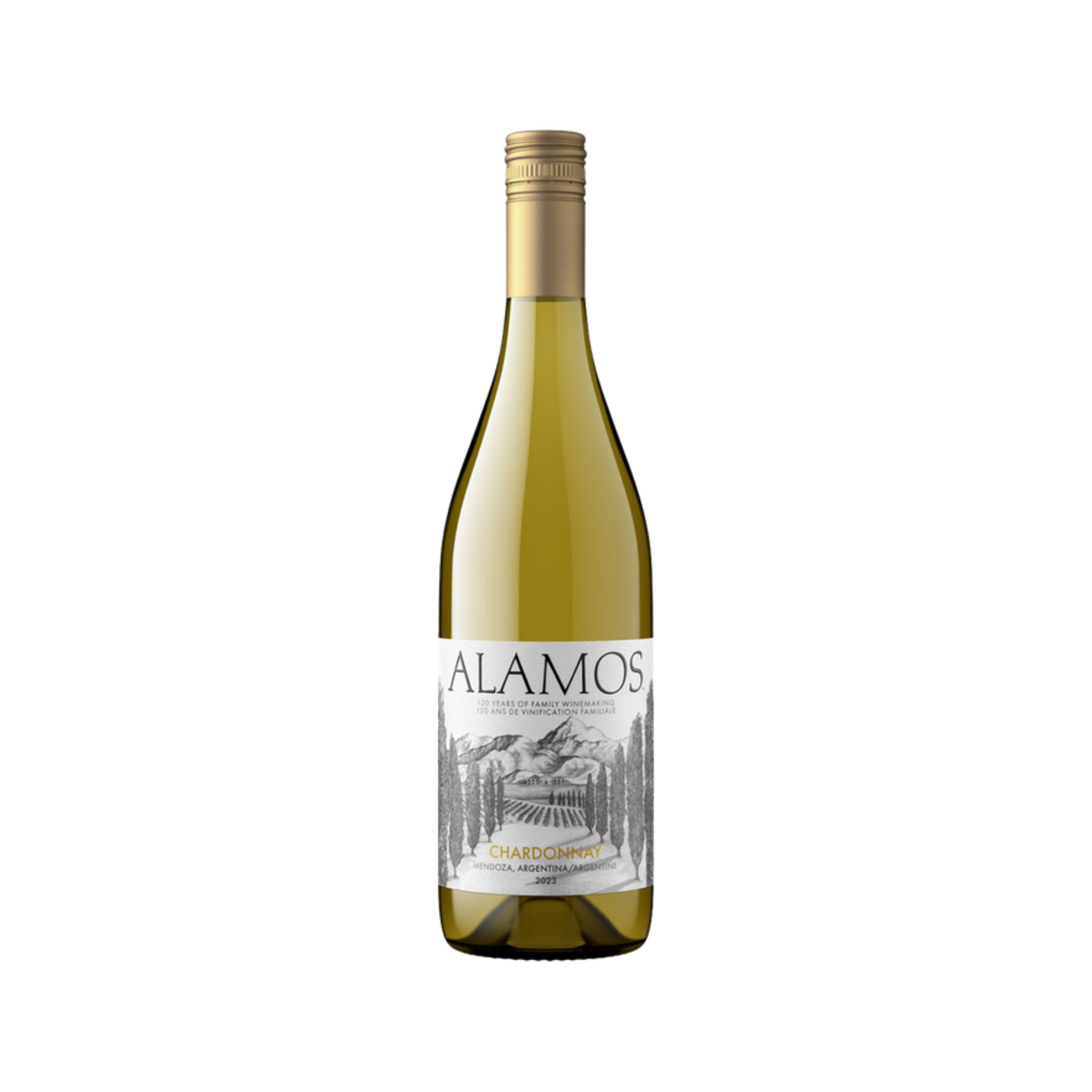 Chardonnay - Alamos