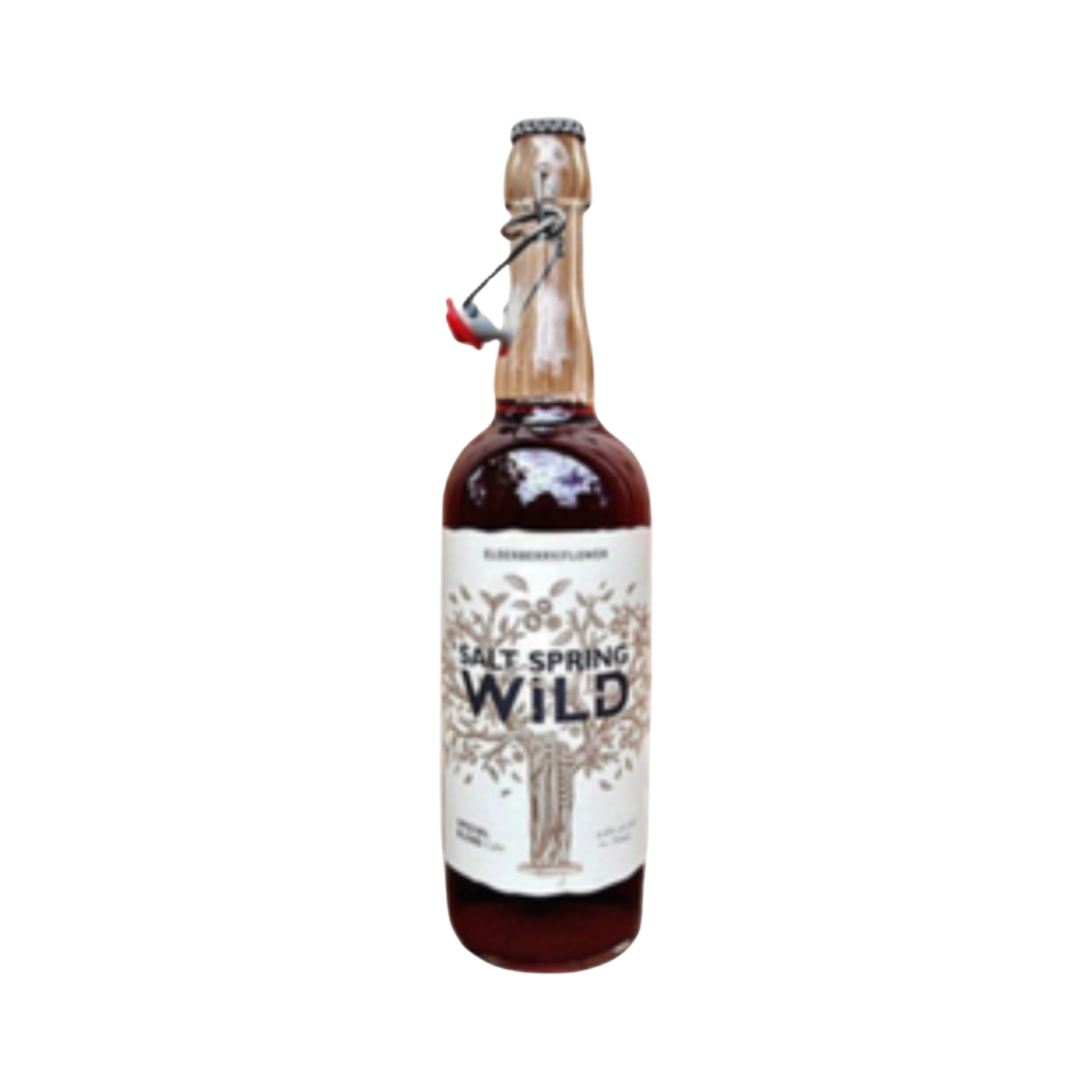 Salt Spring Wild Cider - Elderberry