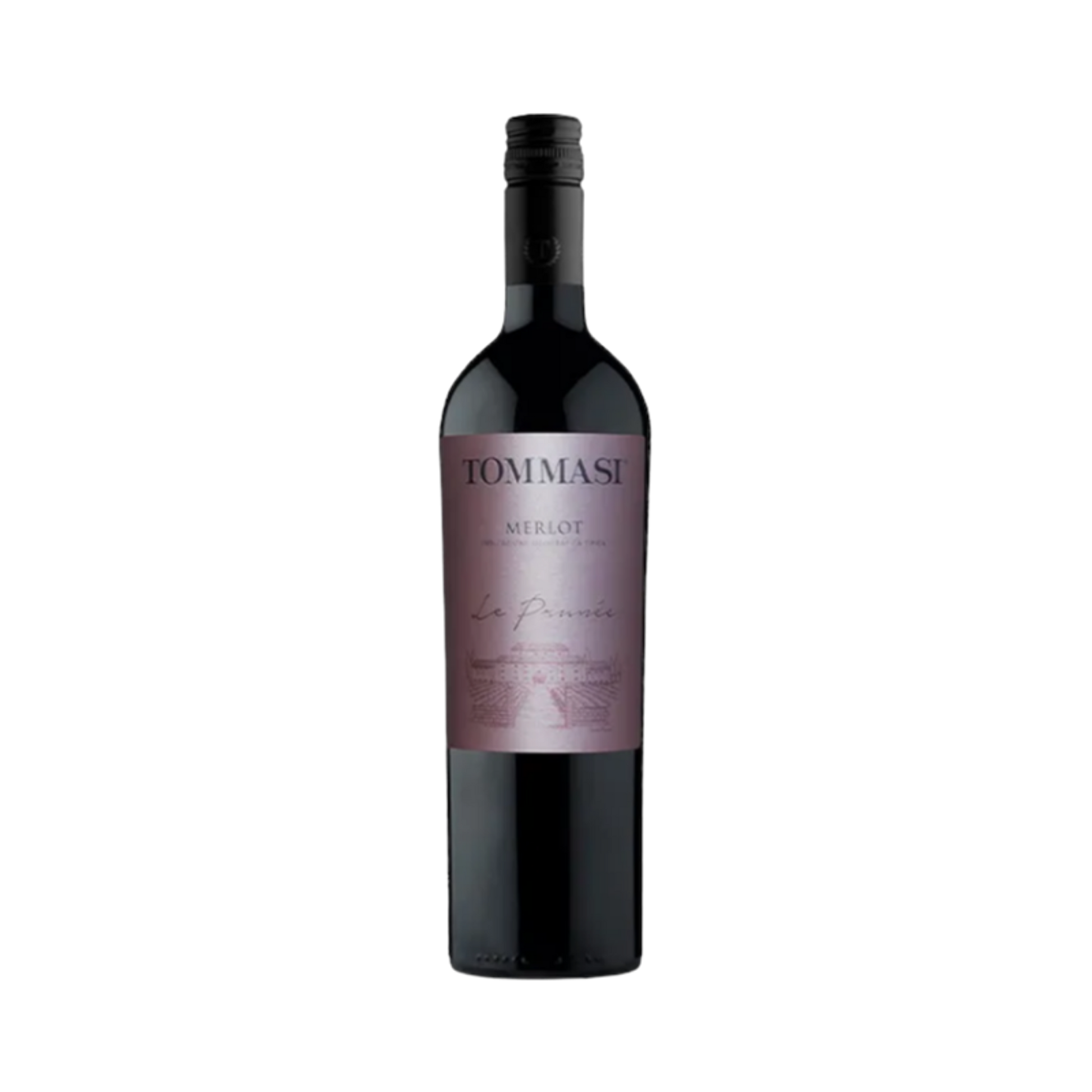 Merlot - Tommasi Le Prunee