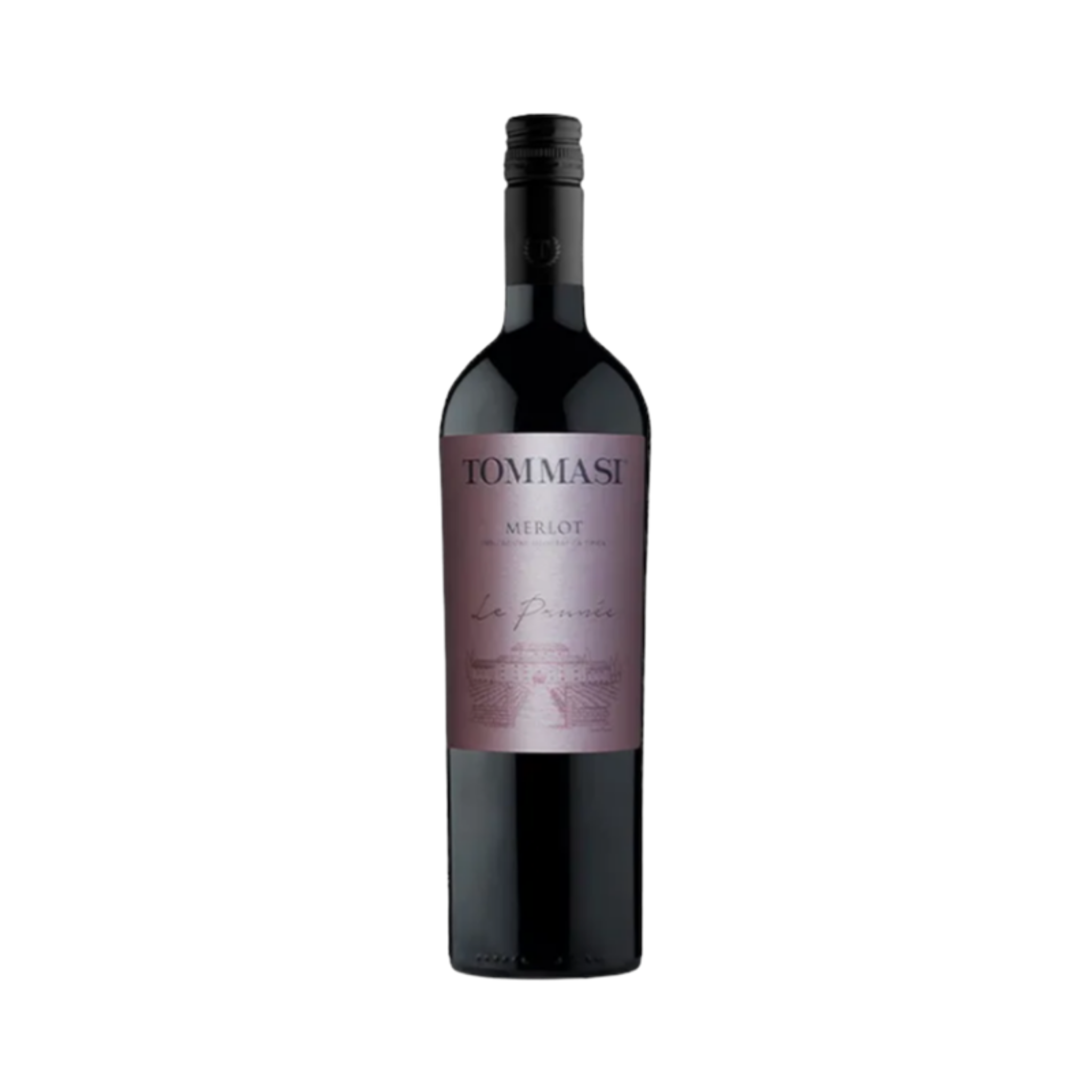 Merlot - Tommasi Le Prunee