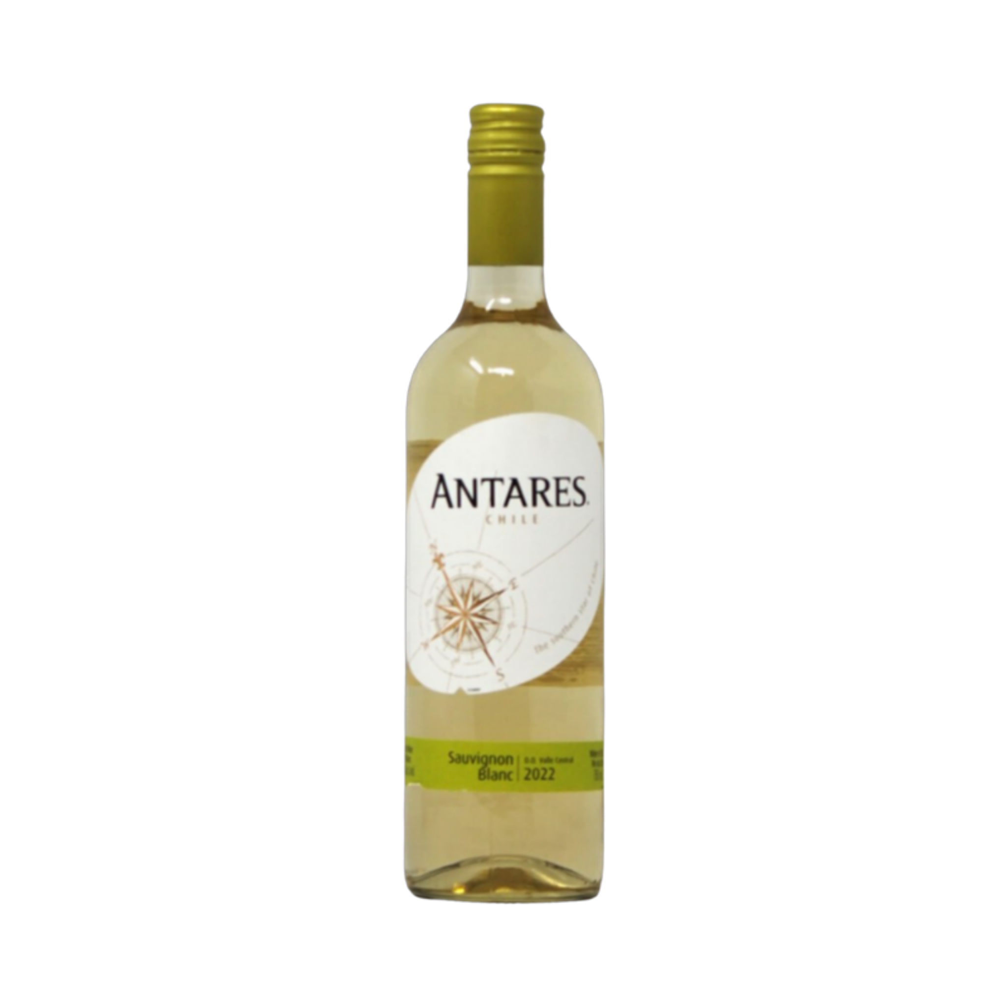 Sauvignon Blanc - Antares