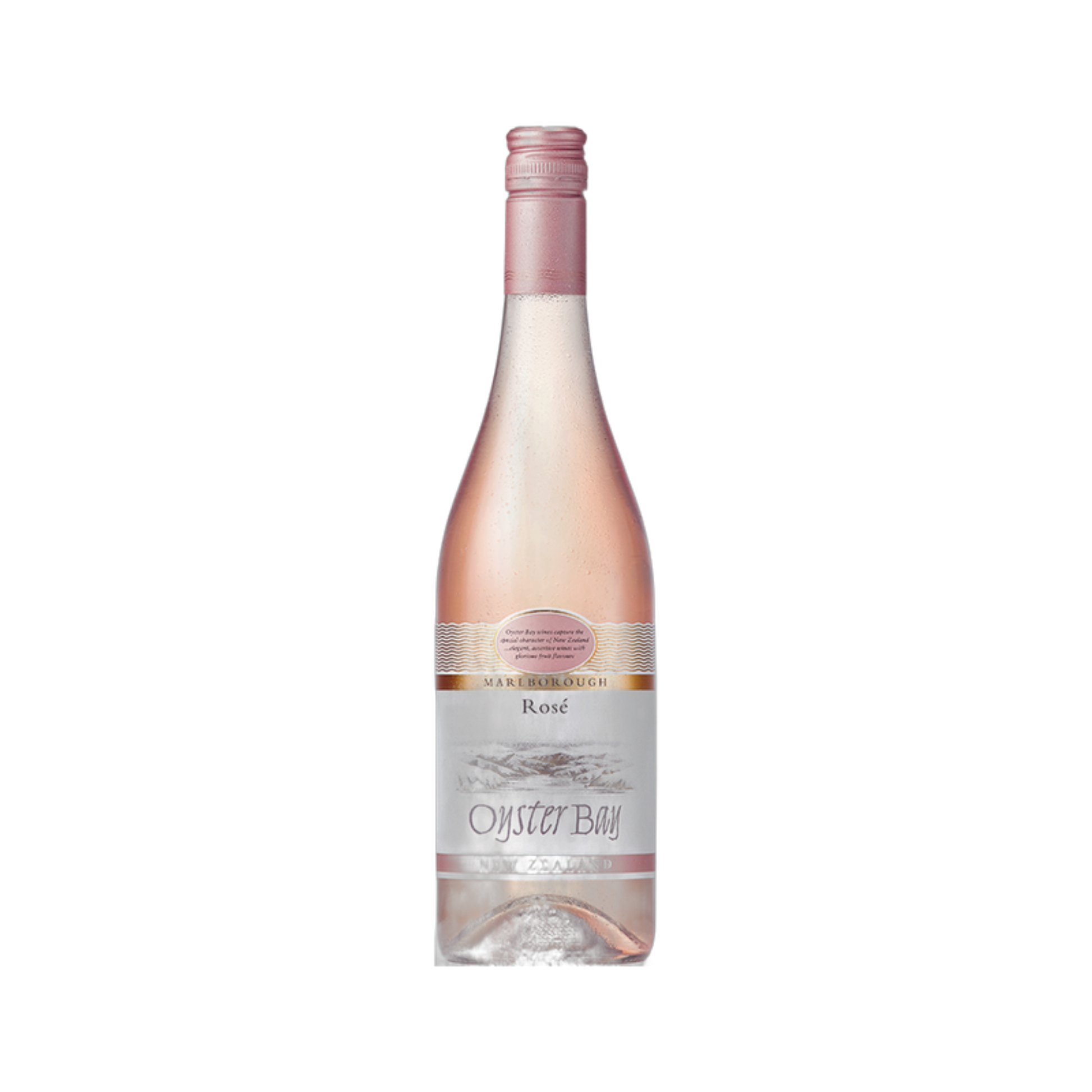 Rose - Oyster Bay