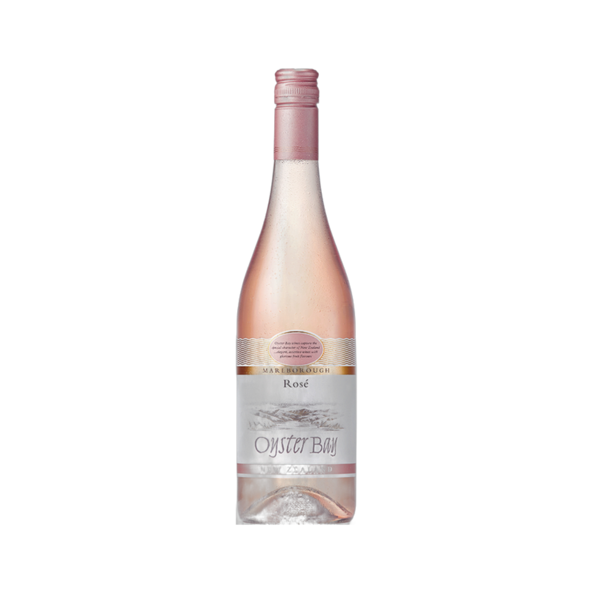Rose - Oyster Bay